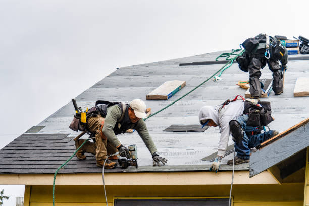 Professional Gutter Installation technician working in Arlington, TN